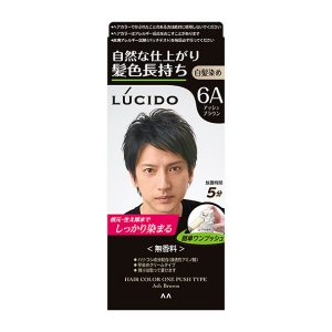 LUCIDO Hair Color One Push Type Ash Brown (Quasi-drug) Agent1 50g / Agent2 50g